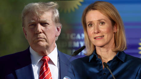 Trump’s comments a ‘provocation’ – EU’s Kallas