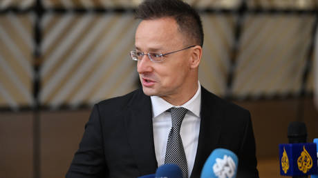 Ukraine can’t explain ‘war mafia’ convoy – Hungary