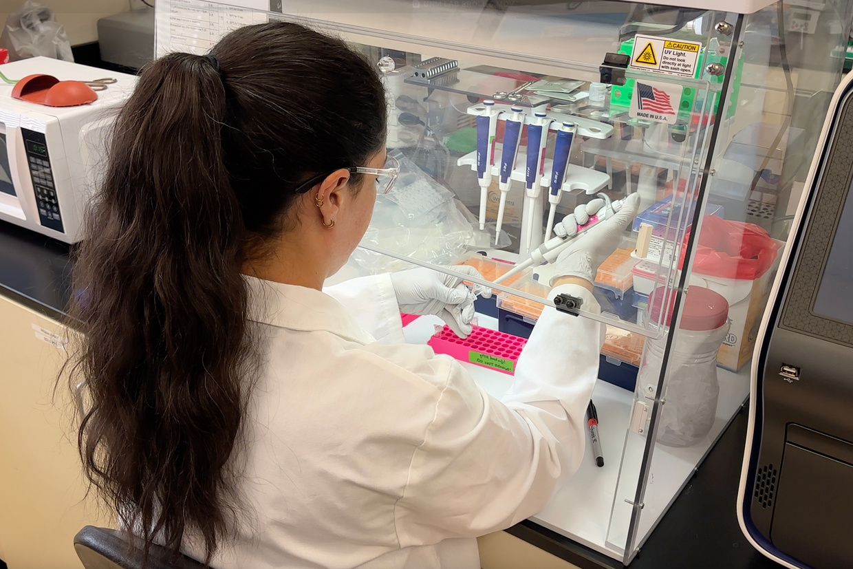 A researcher prepares samples of inactivated material as part of hantavirus research at the University of New Mexico Health Sciences Center in Albuquerque, New Mexico, May 4, 2026