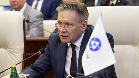 EU at risk from Ukrainian strikes on nuclear plant – Rosatom CEO
