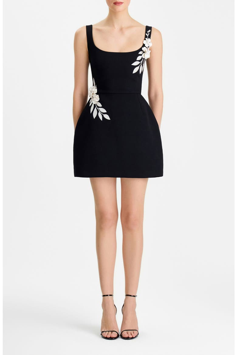 Lana Floral Appliqu&eacute; Fit & Flare Cocktail Minidress