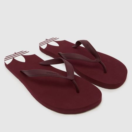 Adidas Adi Sun in Burgundy