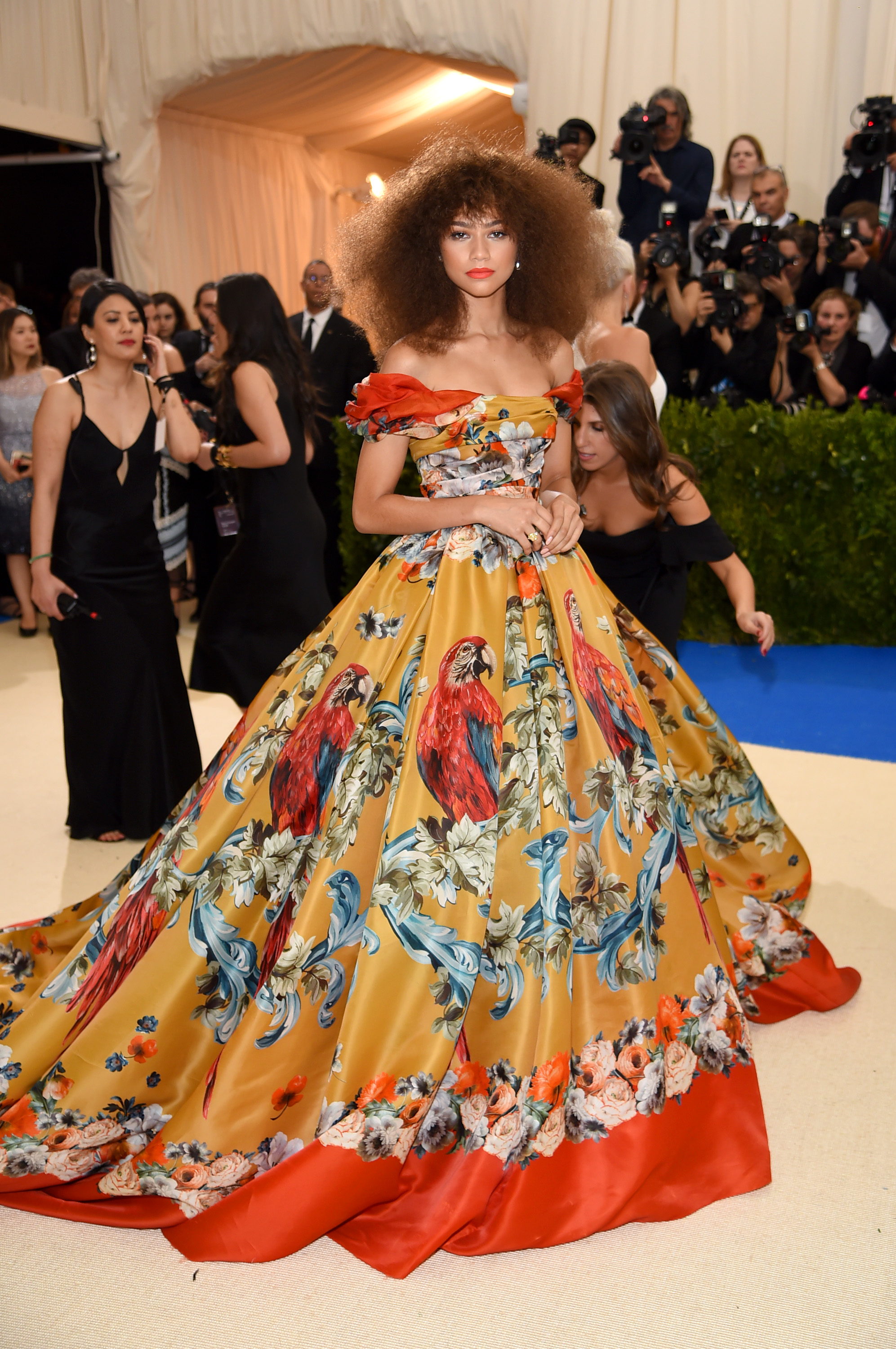 Zendaya on the red carpet in 2017.