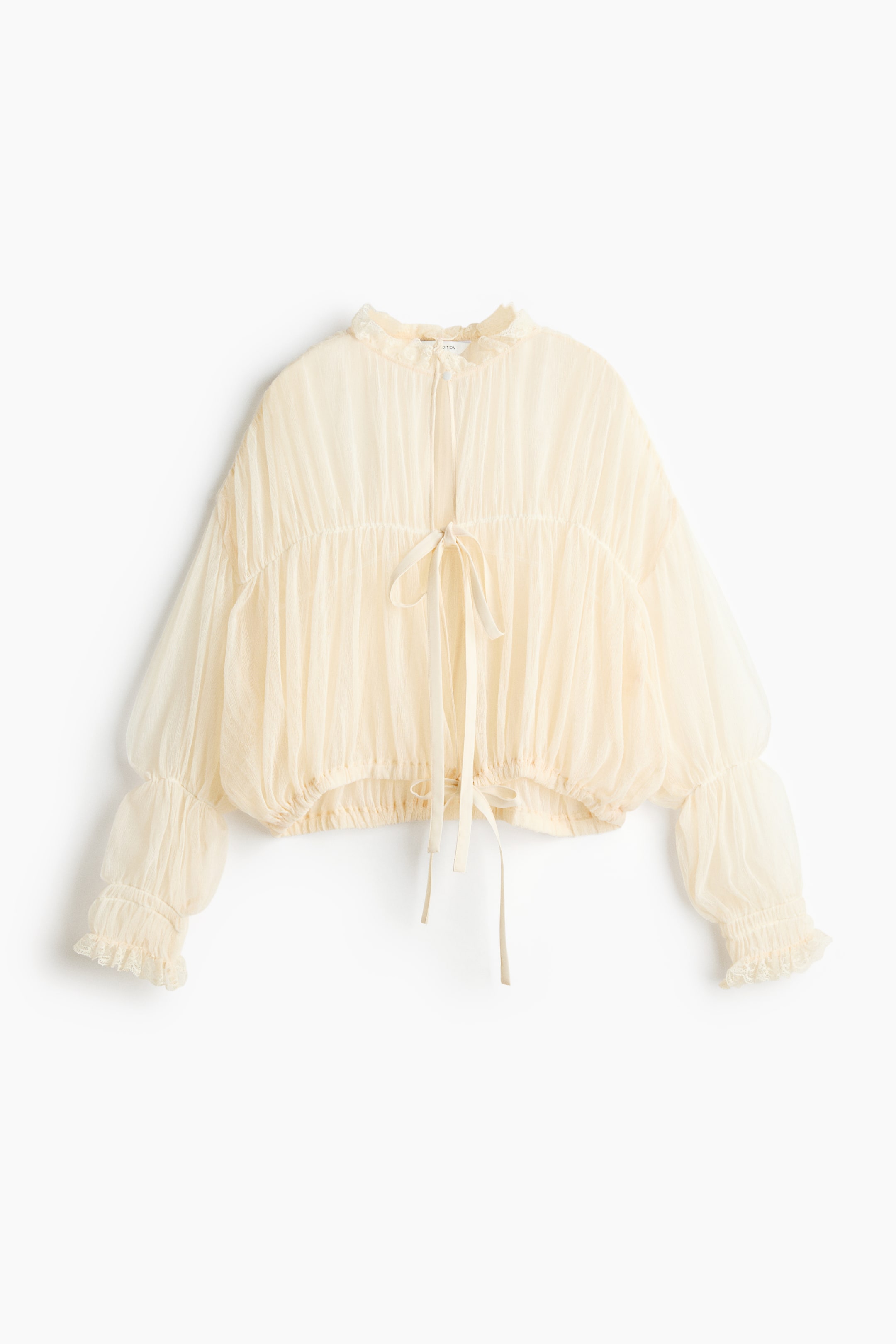 Sheer Tie-Front Blouse