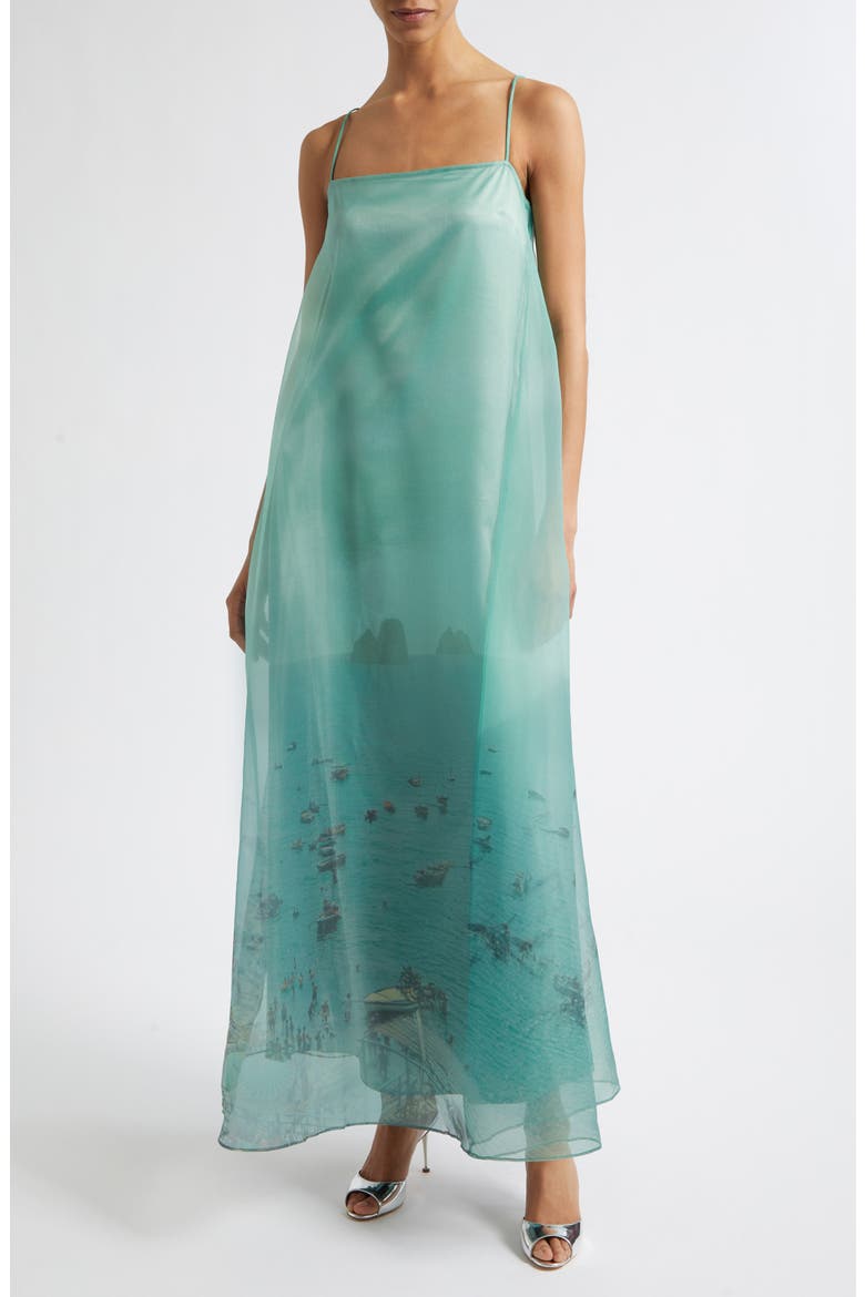 Delfina Print Organza Maxi Dress