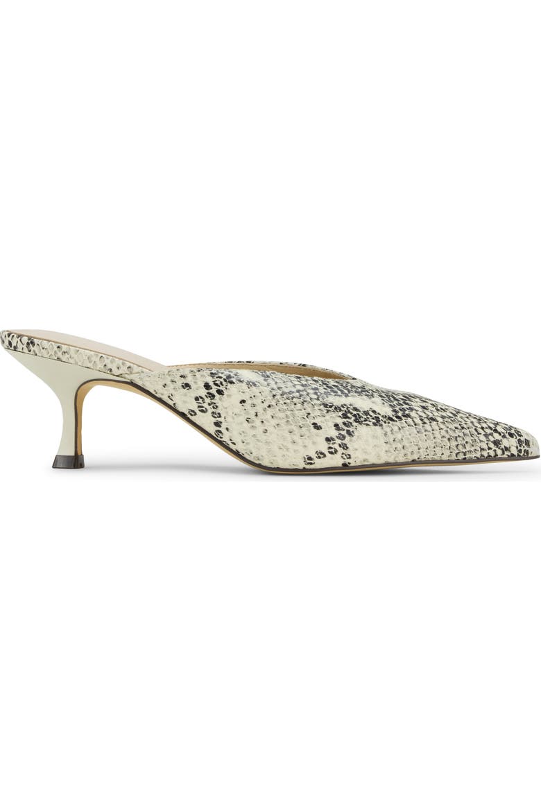 Remi Pointed Toe Kitten Heel Mule