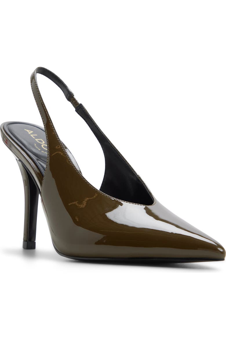 Arianell Slingback Pointed Toe Pump