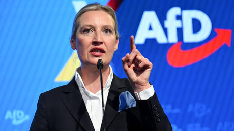 Ukrainians must leave Germany – AfD co-leader