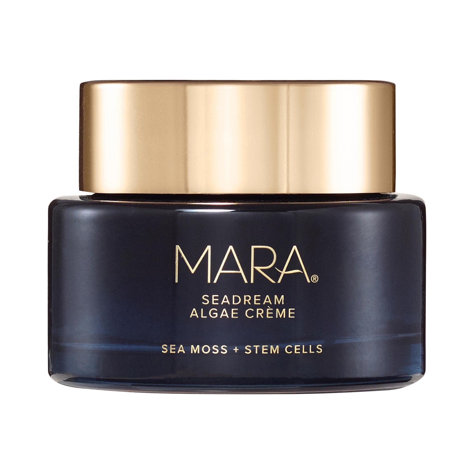 Seadream Algae Creme Moisturizer for Firming & Tightening With Sea Moss + Peptides
