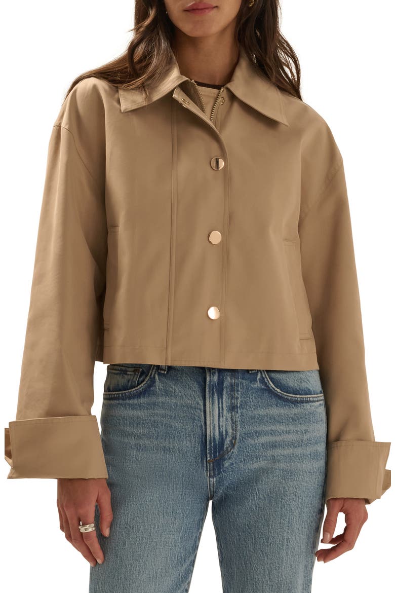 The Rue Cropped Trench