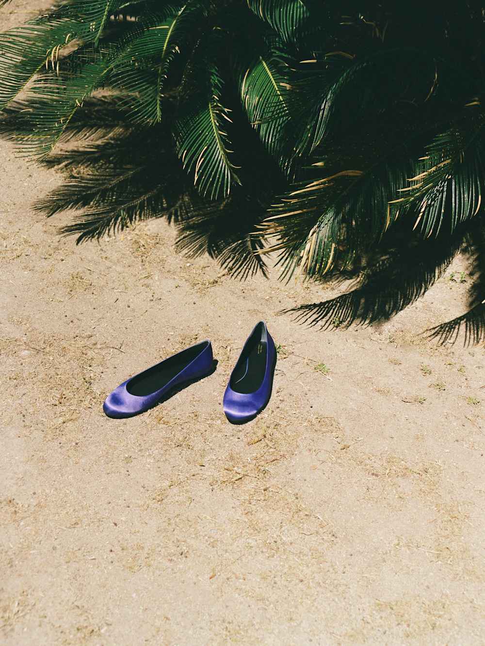 Charlie Taye Ballet Flat