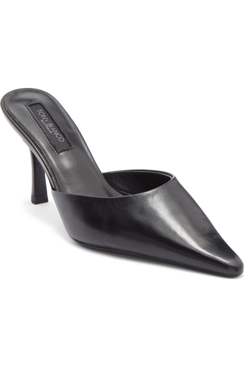 Sicily Pointed Toe Mule
