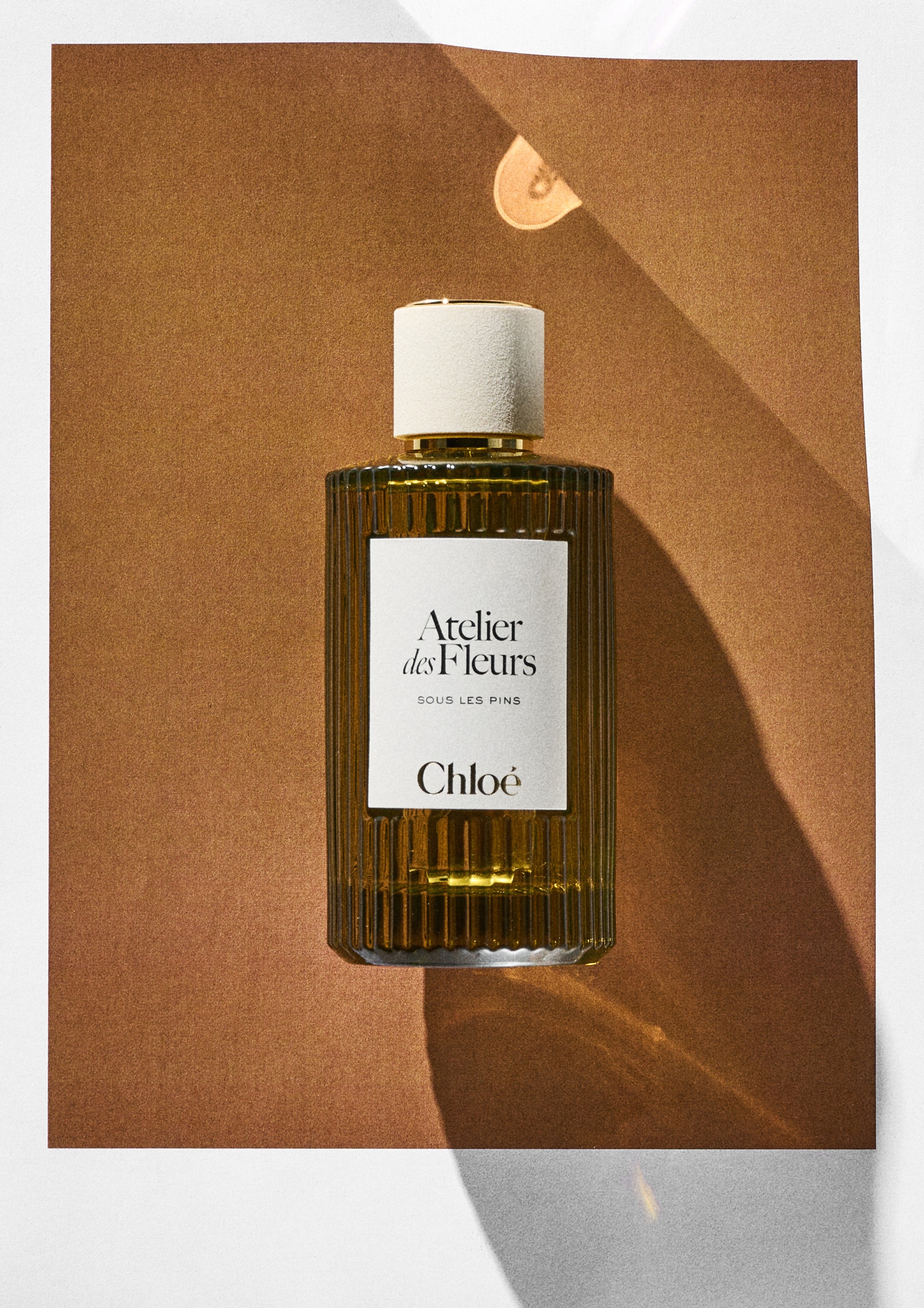 Chloé Atelier Des Fleurs Sous Les Pins on an orange background
